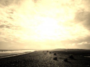 walberswick, david senior