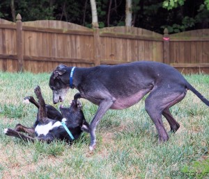 cody playing, from katrina