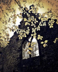 Tintern Old Church